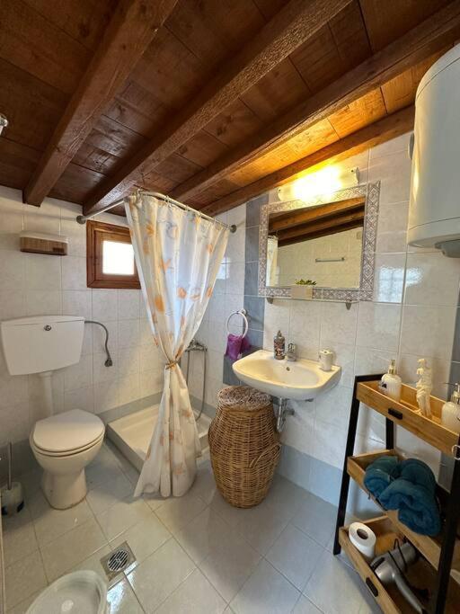 Amalia Beach Apartment Kokkari Extérieur photo